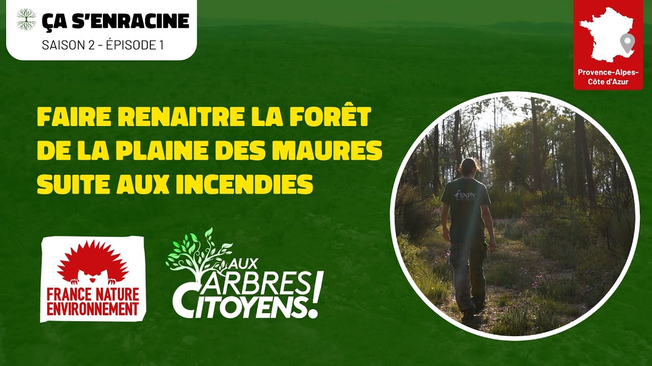 🌳 AAC - ÇA S'ENRACINE [EP1] - Faire renaître la forêt de la plaine des Maures suite aux incendies