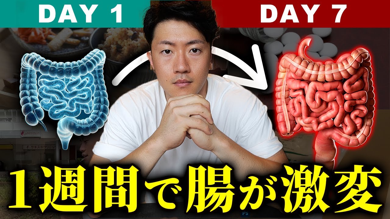 【永久保存版】腸内環境を