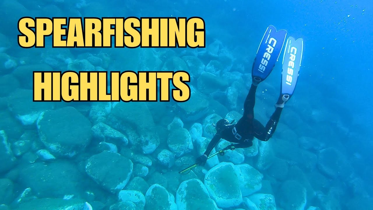 Spearfishing Highlights - Best shots of Summer