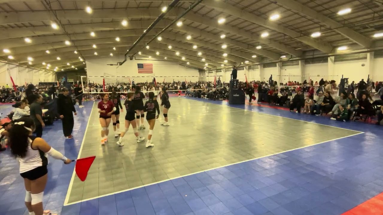 LQ Day 2, Game 1 vs Rage 13 Sidney