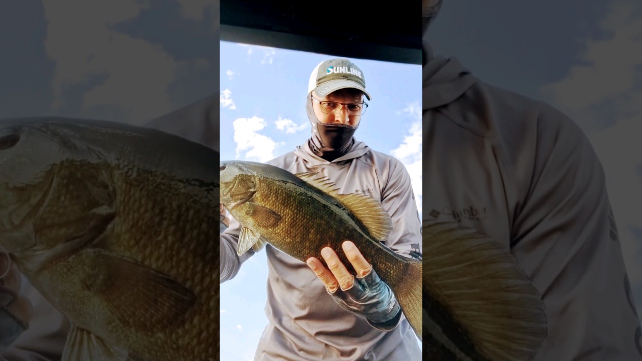 Alum Creek Lake, Ohio Bass Fishing