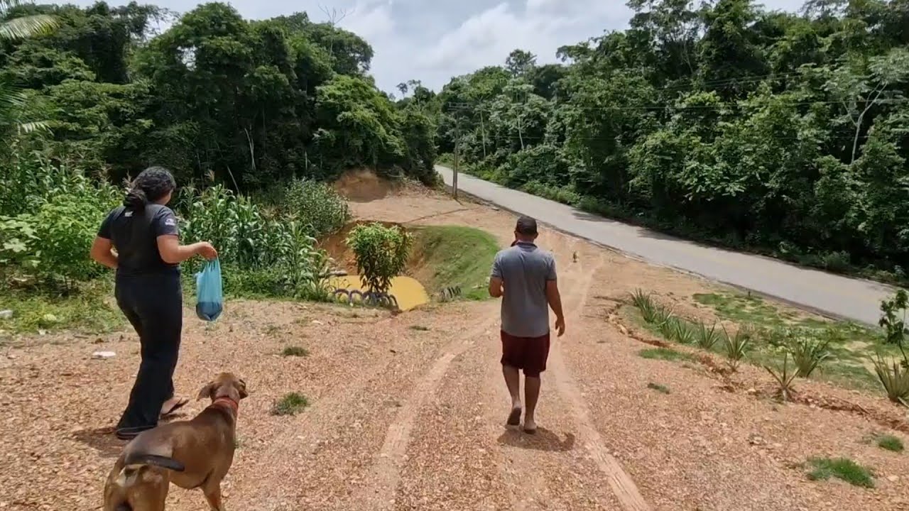 Colocamos peixe no açude.
