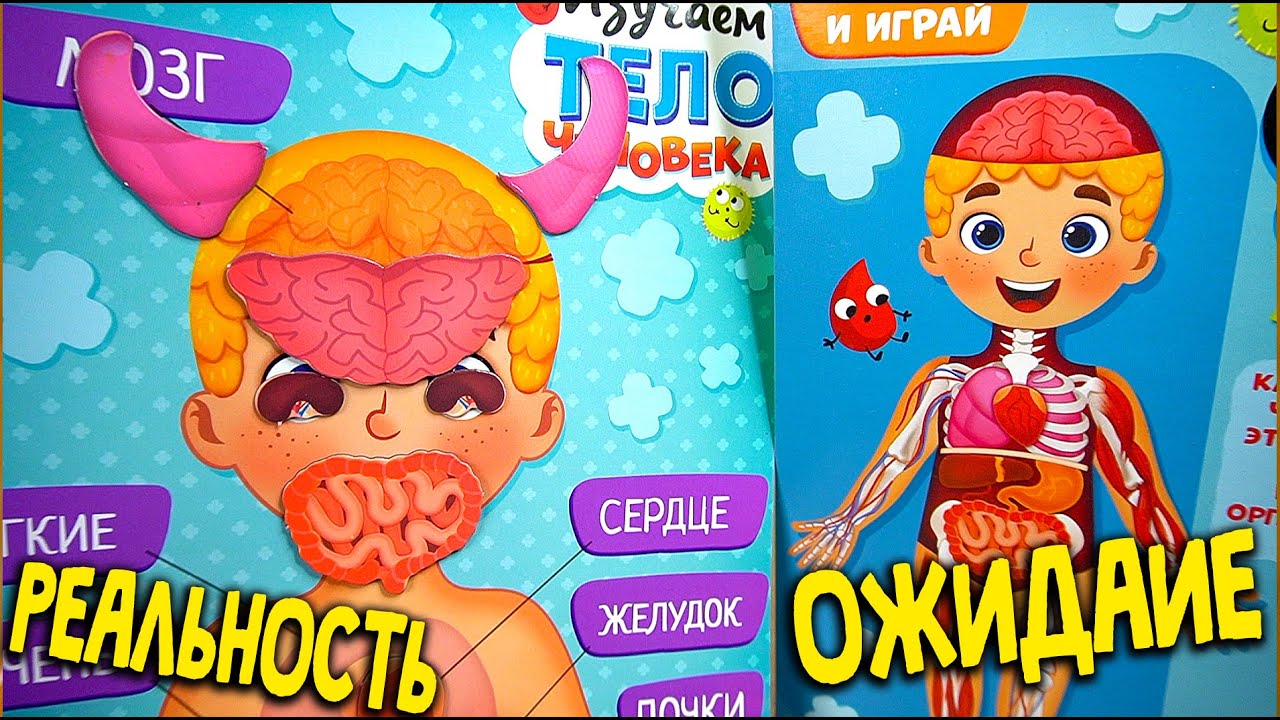 Кусочки Мальчика на магнитах - Изучаем Тело Человека - Магнитный набор