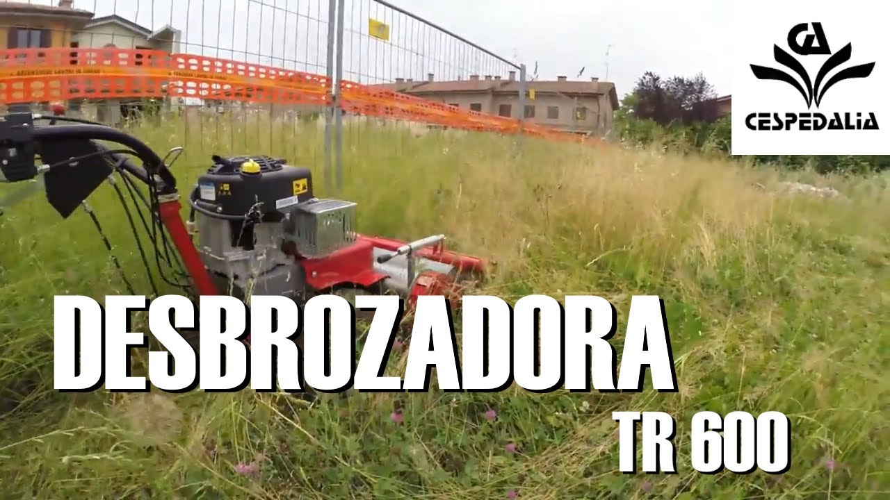 Desbrozadora De Martillo TR 600 Meccanica Benassi ☘️ Cespedalia