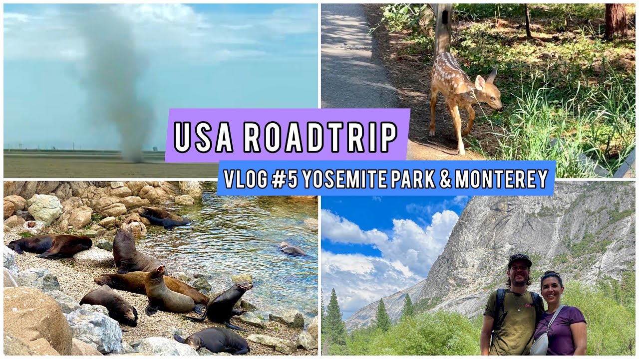USA ROADTRIP - Vlog #5 Yosemite Park & Monterey | Gorillas in den Bergen und Tornado auf dem Highway