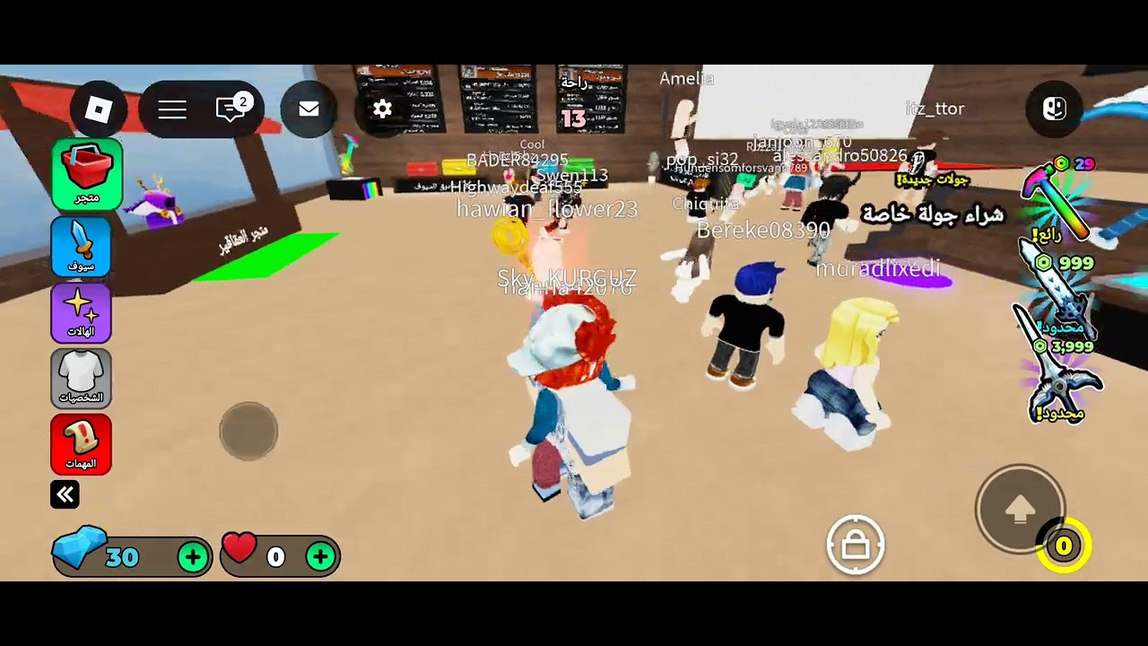 ١٣ يناير ٢٠٢٦