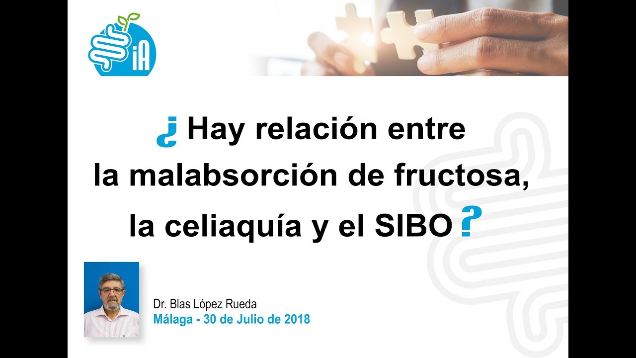¿Hay relación entre la malabsorción de fructosa, la celiaquía y el SIBO? Parte 2
