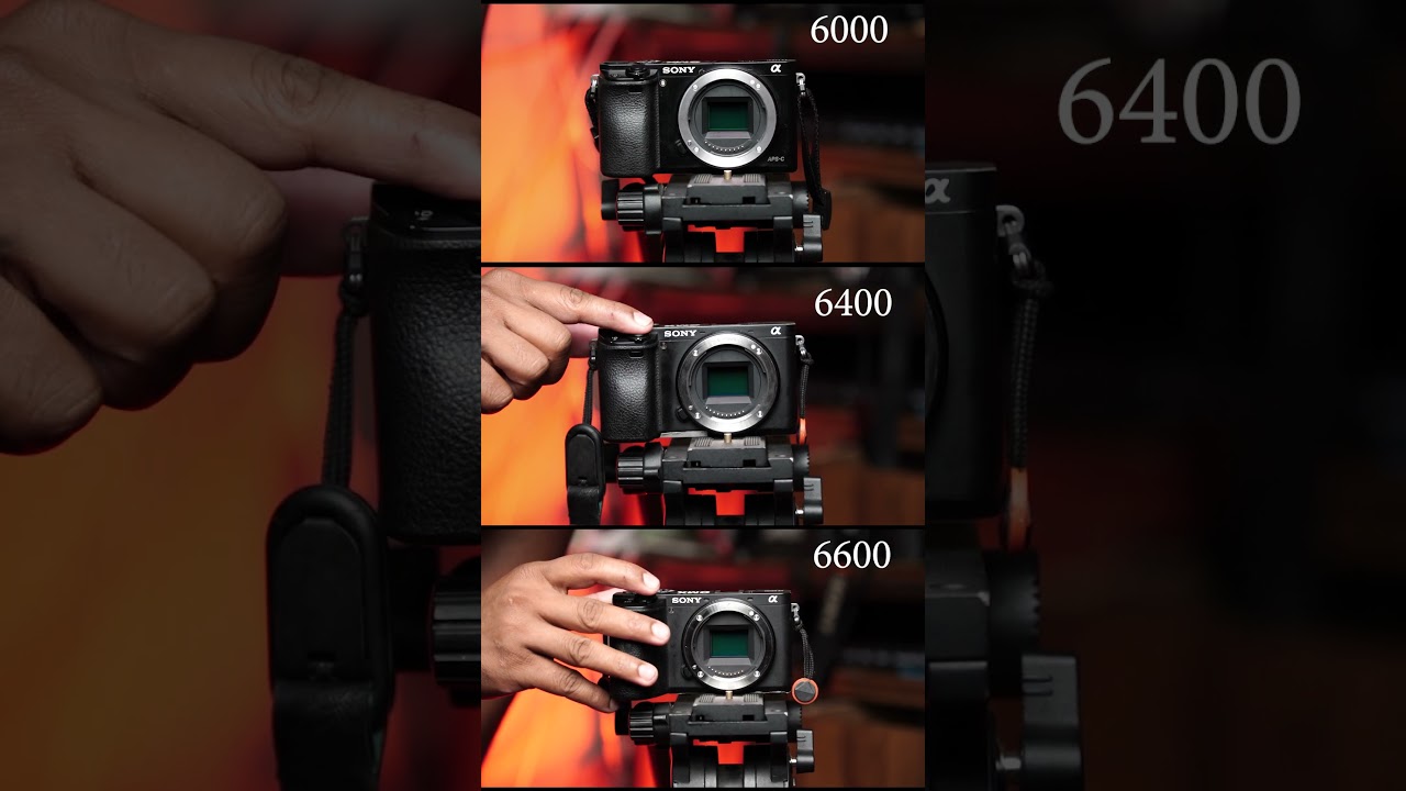 Sony Most Popular Apsc camera shutter sounds Sony 6600 sony 6400 #photography