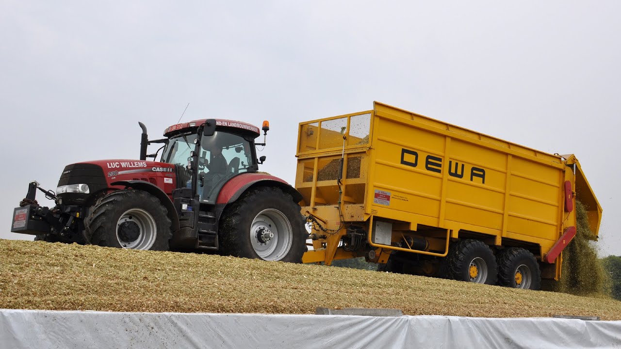 Case IH puma 225 & 230 cvx & M.A.N. & DEWA - Loonw. Luc Willems - mais lossen op de kuil