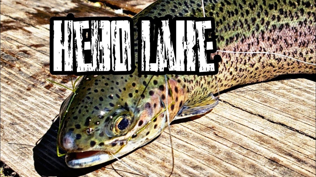 Something New at Hebo Lake