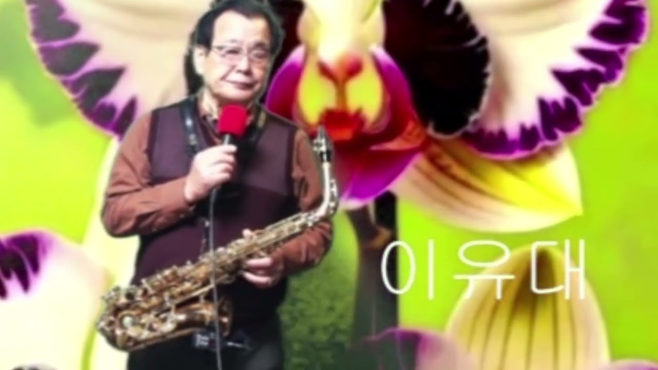 꽃은 결코한나비를 위해 피지않는다  노래 이유대