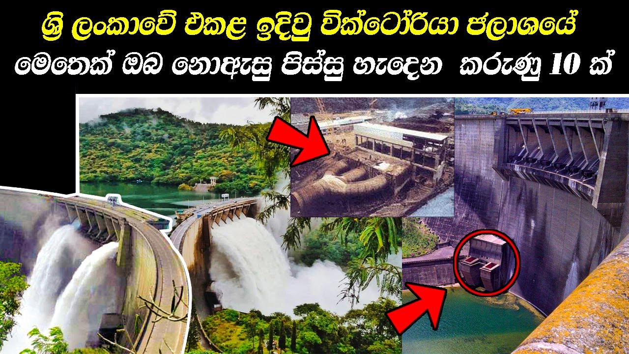 වික්ටෝරියා ජලාශය ගැන මෙතෙක් ඔබ නොඇසූ කරුණු 10ක් 🇱🇰#srilanka