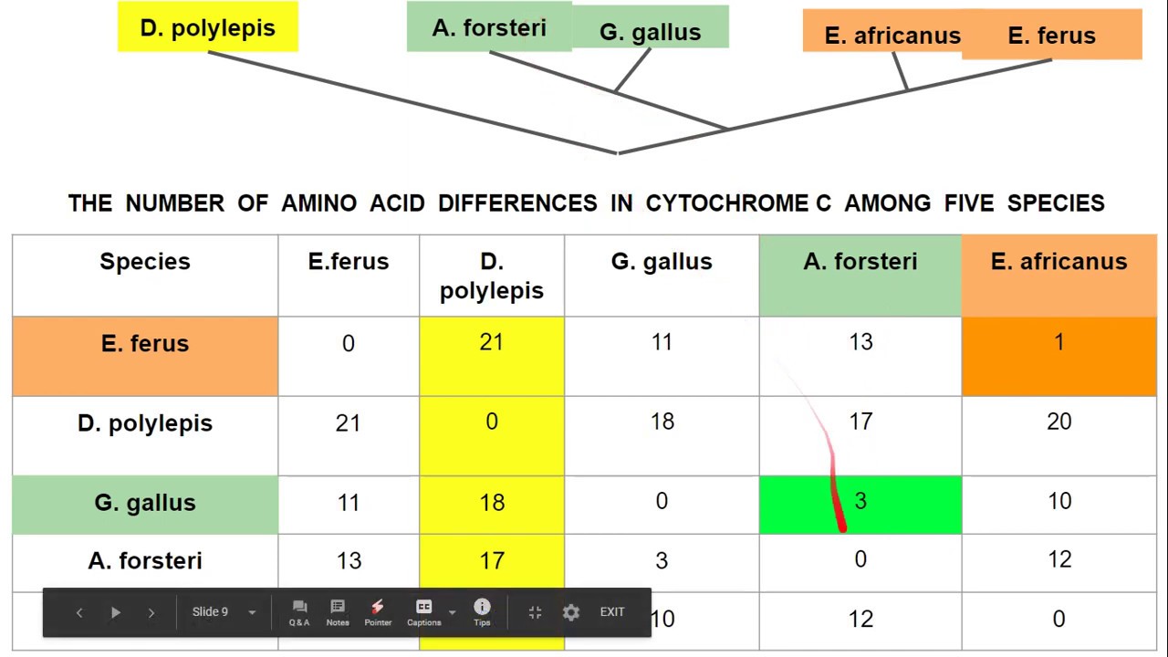 Molecular data and trees