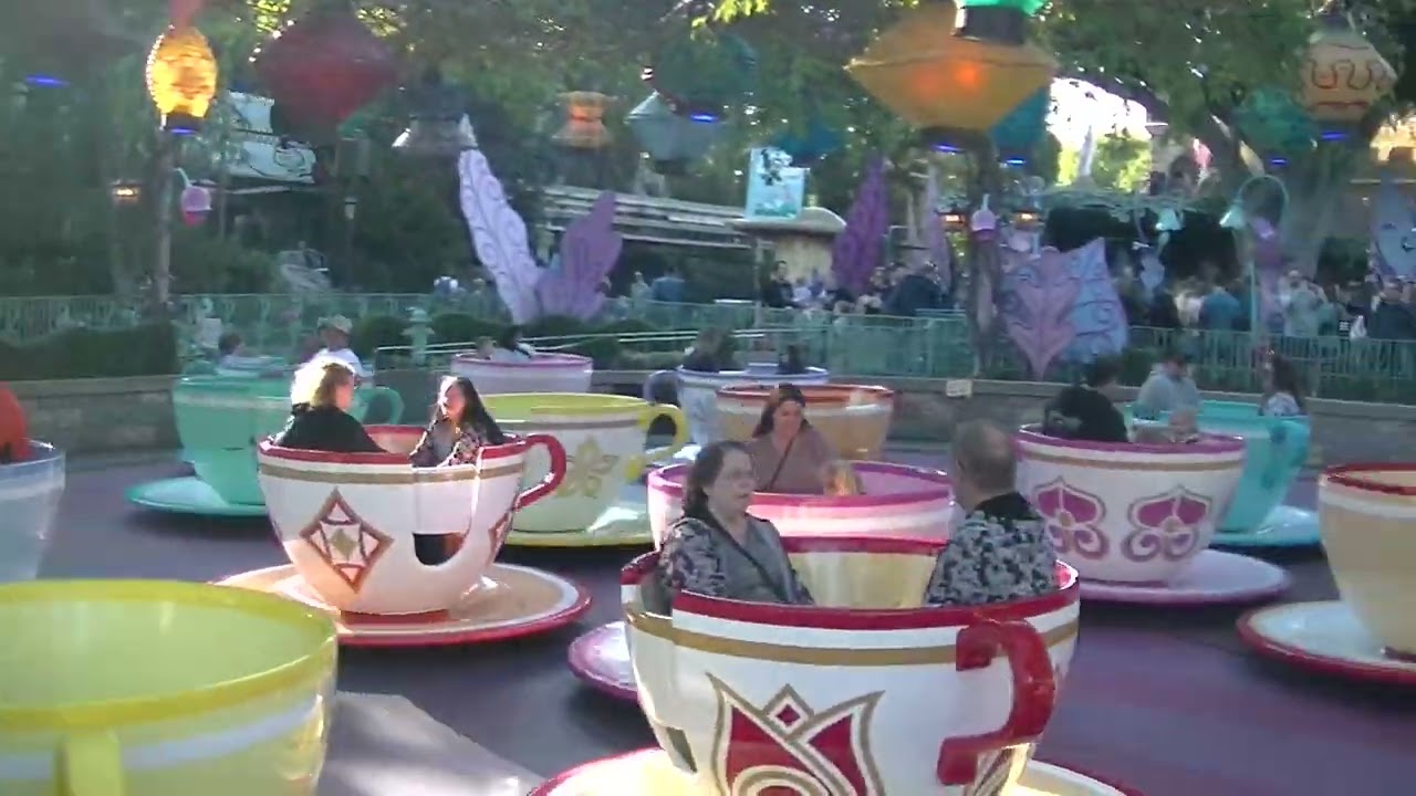 FANTASYLAND FUN TIME FEELS AT DISNEYLAND