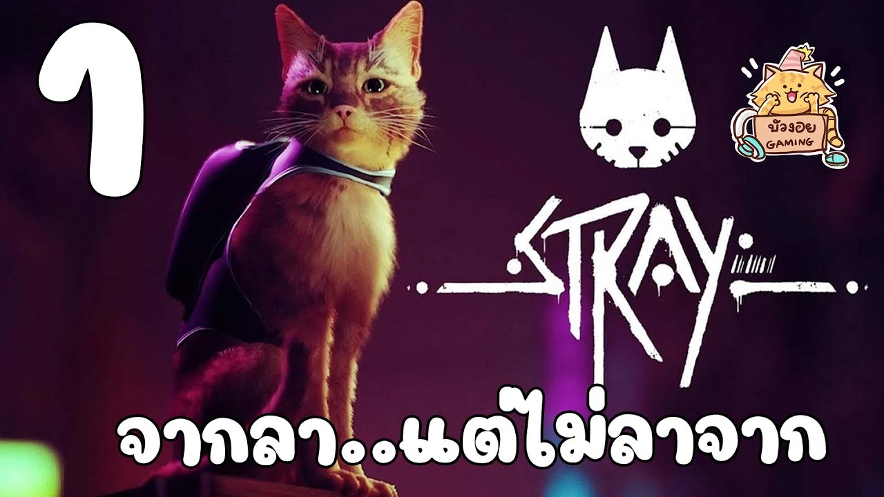 Stray : จากลา....แต่ไม่ลาจาก EP.1