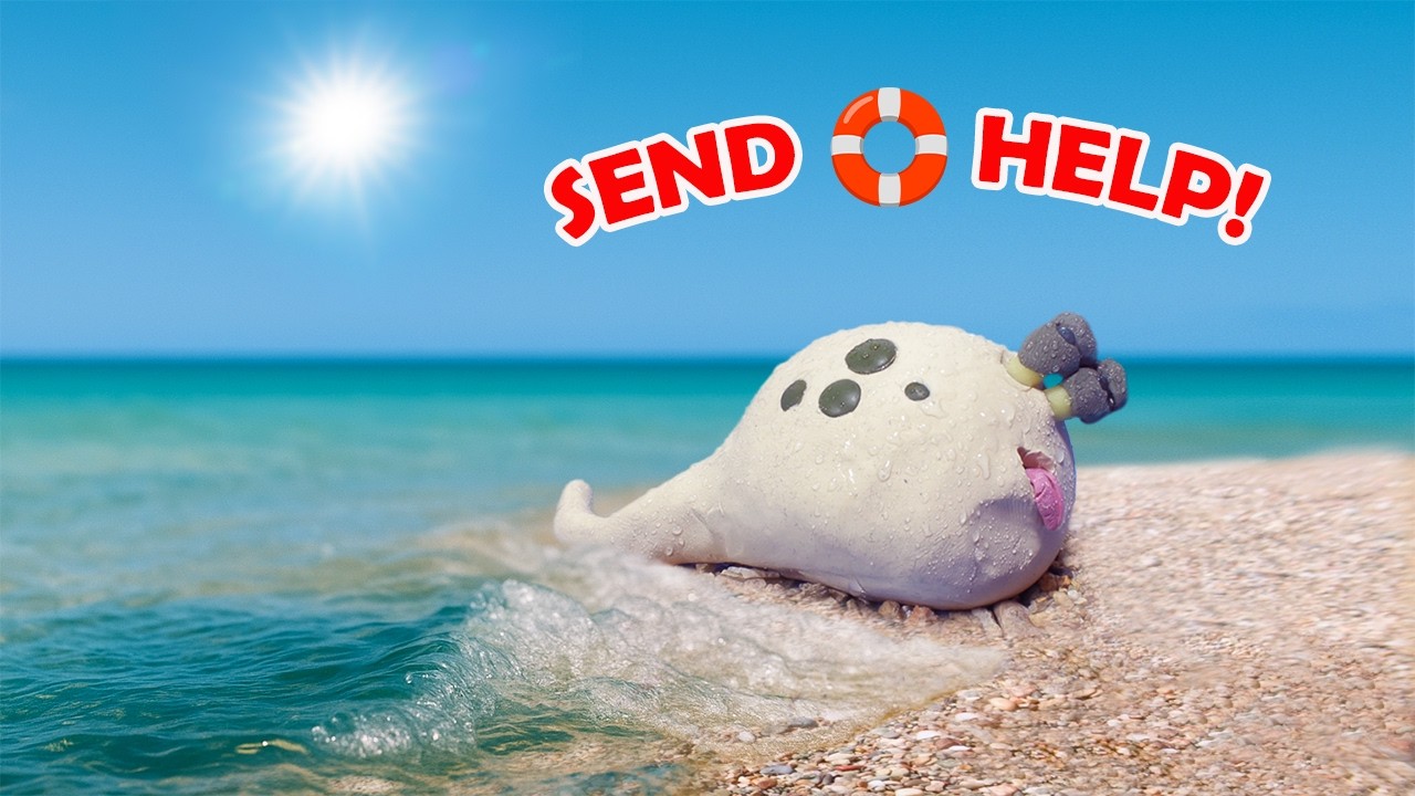 Qute&rsquo;s Beach Day&hellip; Gone Terribly Wrong 😱🌊