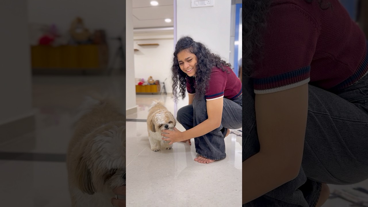 Remo ki maatalu ekkuvaipoyai 😮&zwj;💨🐾#ishqyouall #telugu #shortvideo #youtubeshorts #trendingshorts