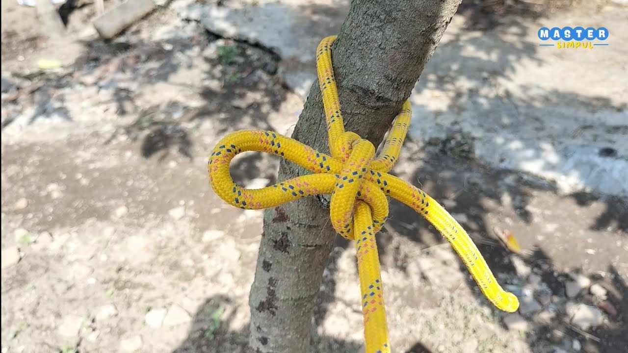 several kinds of knots | Master Simpul