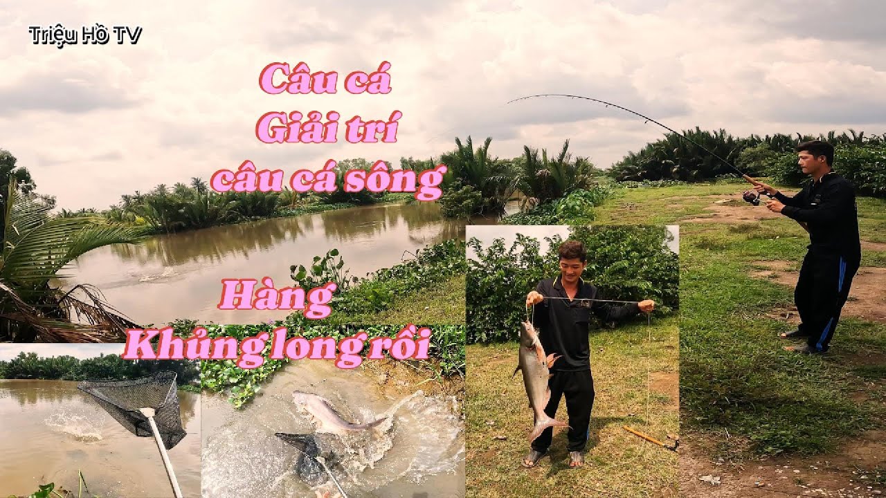 C&acirc;u C&aacute; Giải Tr&iacute; C&acirc;u C&aacute; S&ocirc;ng  | Triệu Hồ TV
