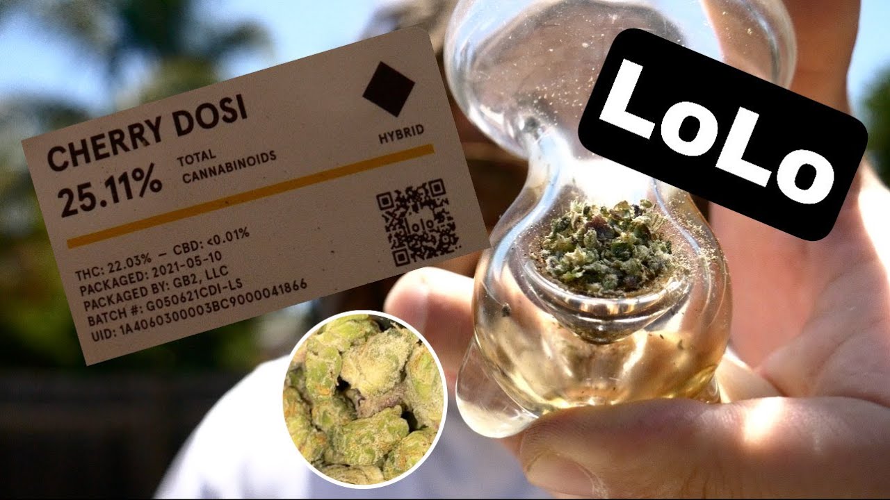 Cherry Dosi LoLo Cannabis | Stoner Simpson TV (Strain Review)