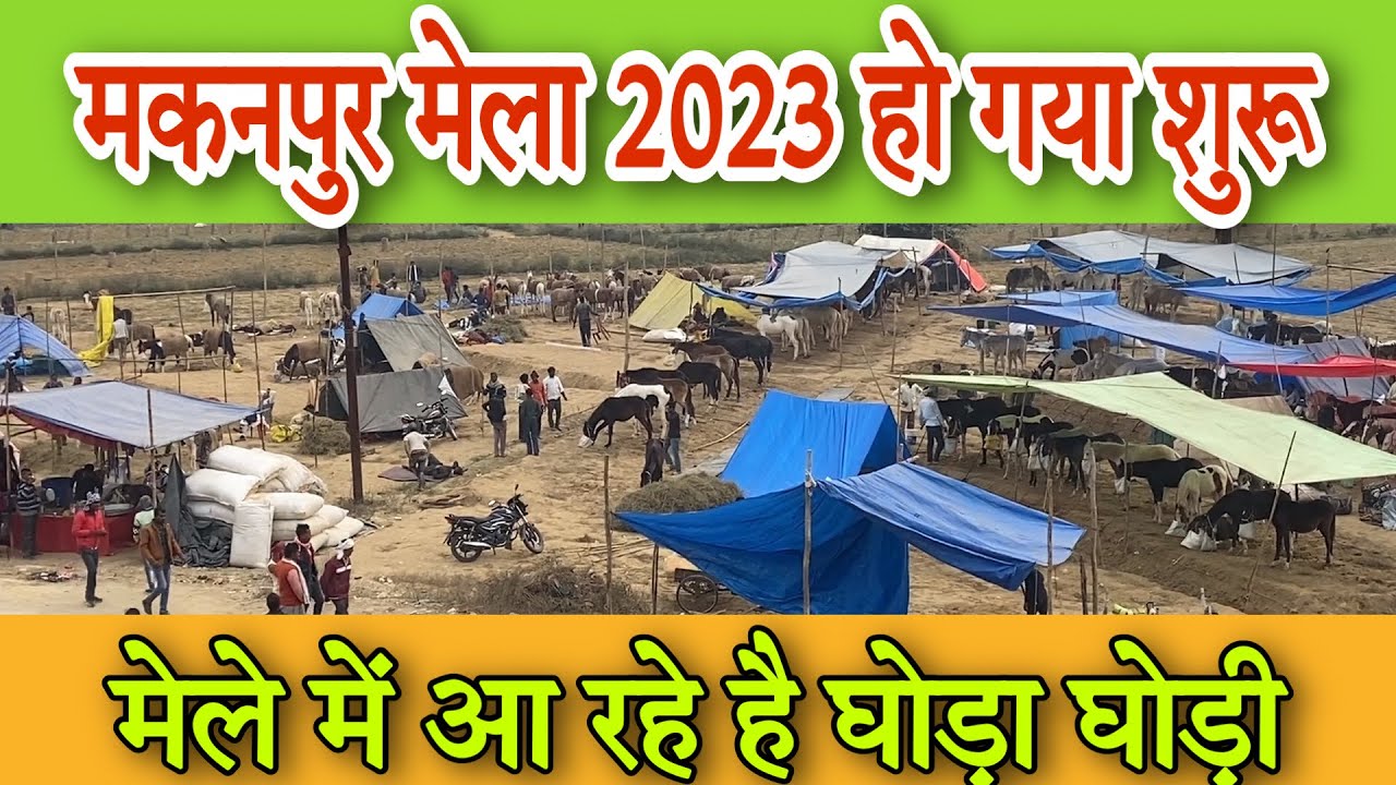 मकनपुर मेला 2023 कि सारी जानकारी । मेले में आ गये है घोड़ा घोड़ी