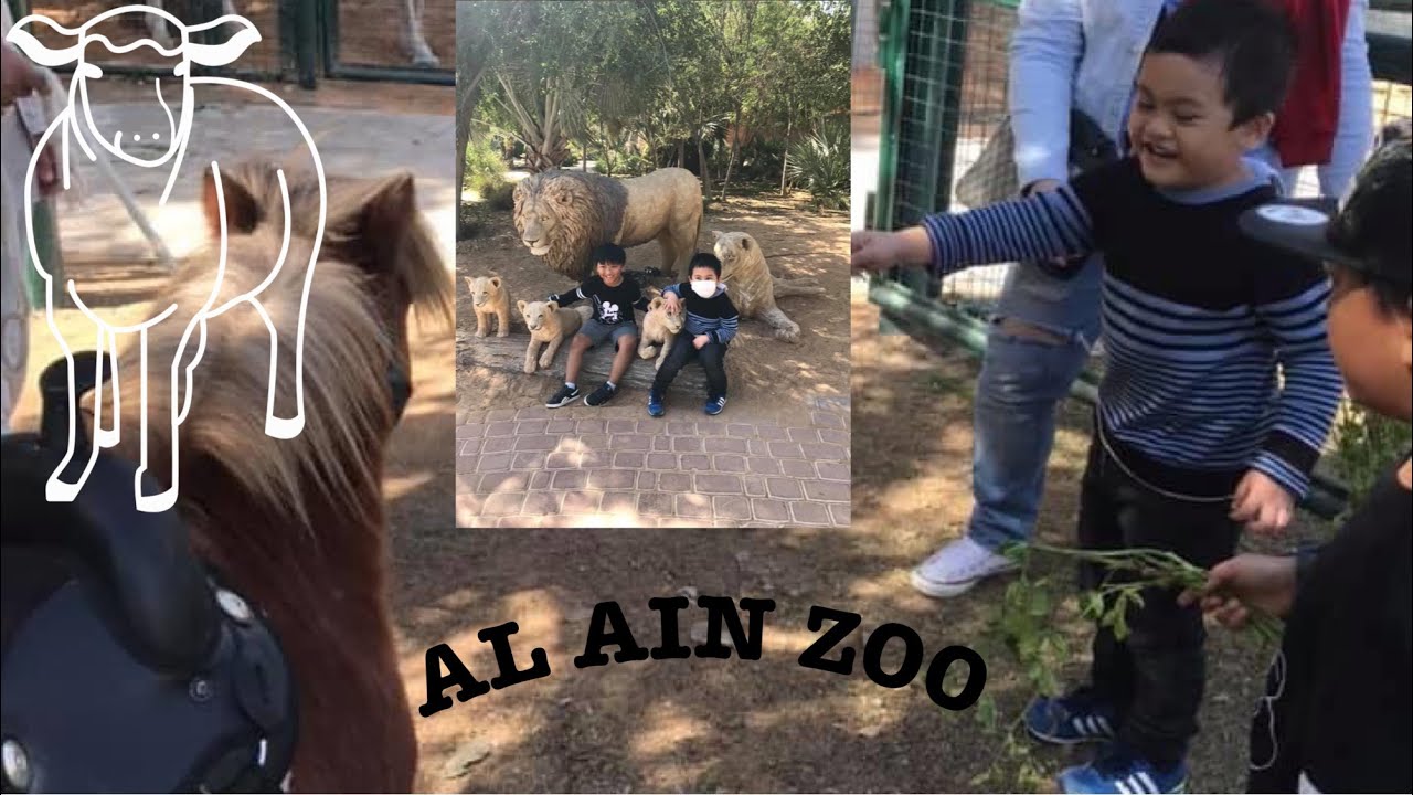 al ain zoo