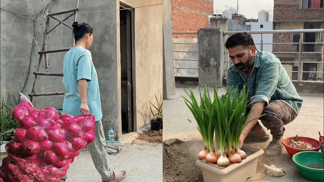 North East Girl In Delhi Gardening Vlog | Growing Onion, Spinach And Bathua With Husband