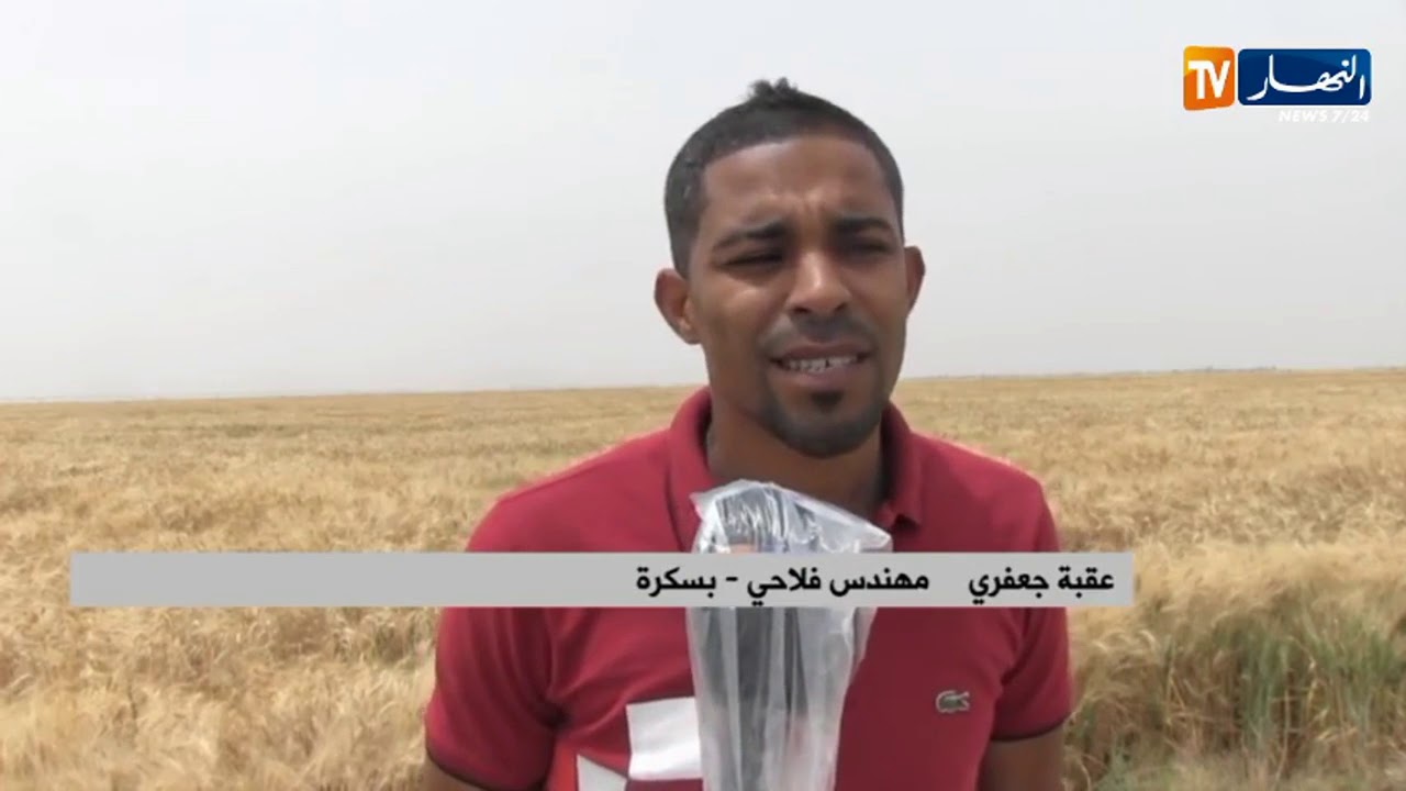 بسكرة: كفاءات شابة تعيد نشاط مزرعة عمر إدريس بعد سنوات من توقفها