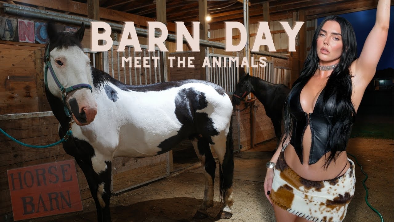 BARN DAY, MEET THE HORSES, BATHE MY HORSE