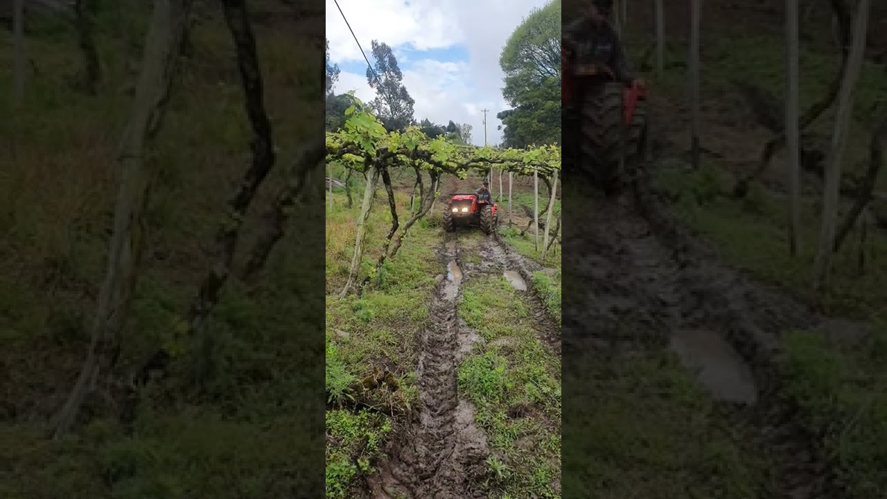 Tratores Tramontini / Antonio Carraro... #agro #viticultor #parreiral #trator #avicultura #granja
