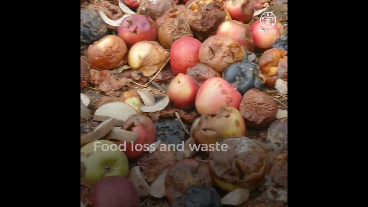 Food loss and waste are among the main causes of climate change