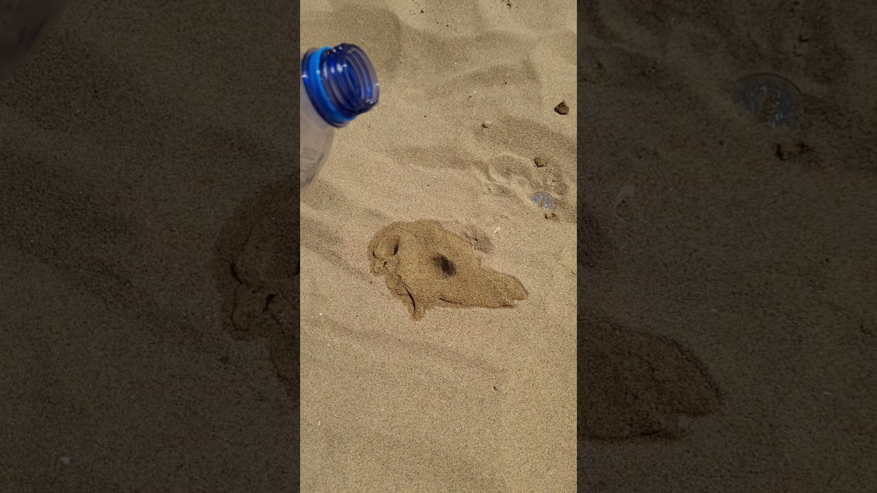 beach lifehack 