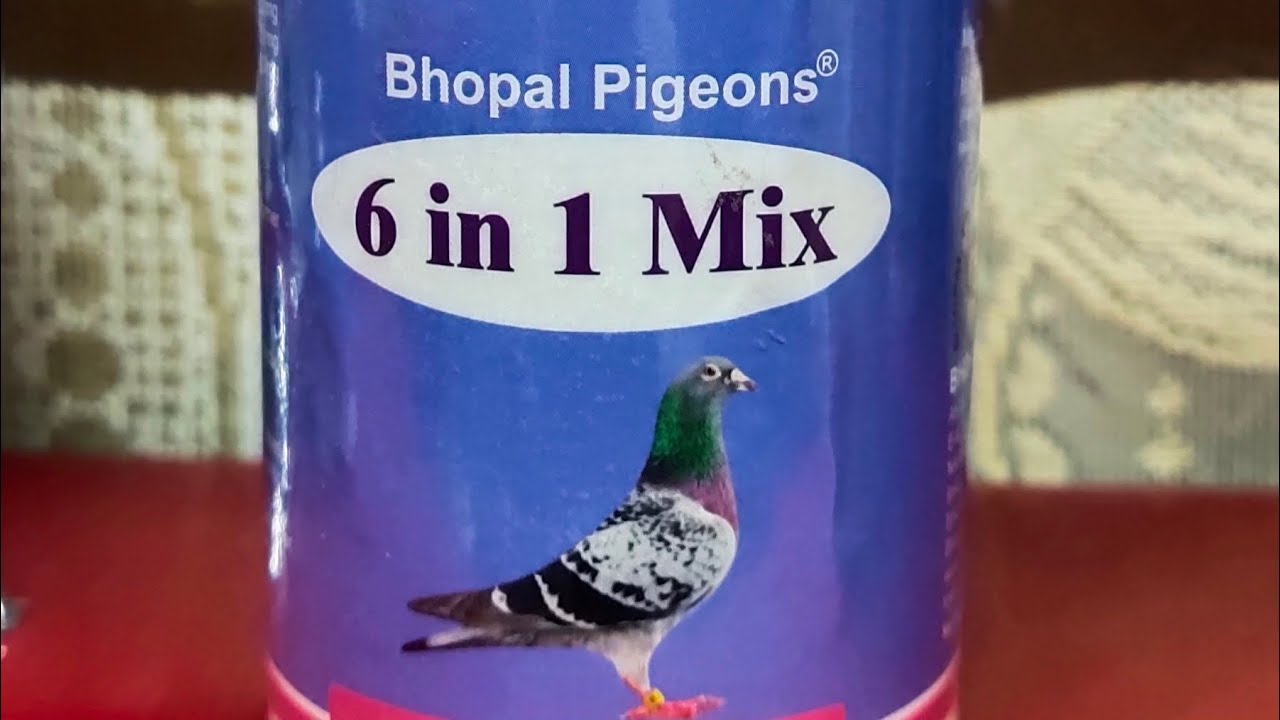 6in1 Mix. 499/- India's First Medicine Lonch by Bhopal Pigeon Pvt. @bhopalpigeons @KumarRingMaker