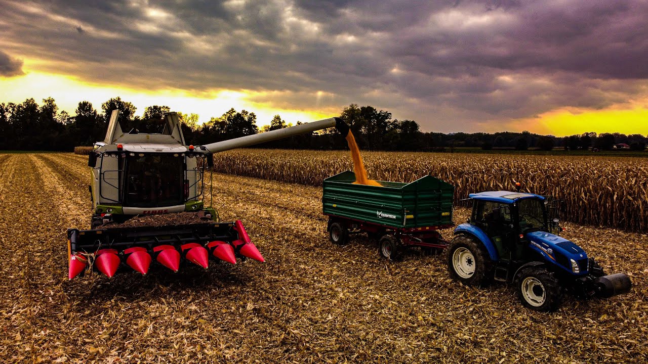 NEW!!! 2020 Claas Tucano 320 harvesting Žetev/corn/Maize/Kukurydza.