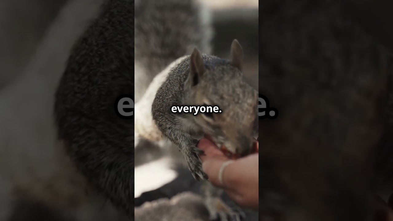 #motivation #shorts #wisdom #inspiration #squirrel #trending