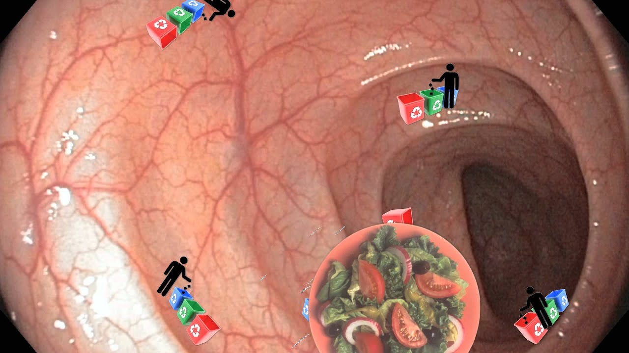 How Fiber Lowers Cholesterol