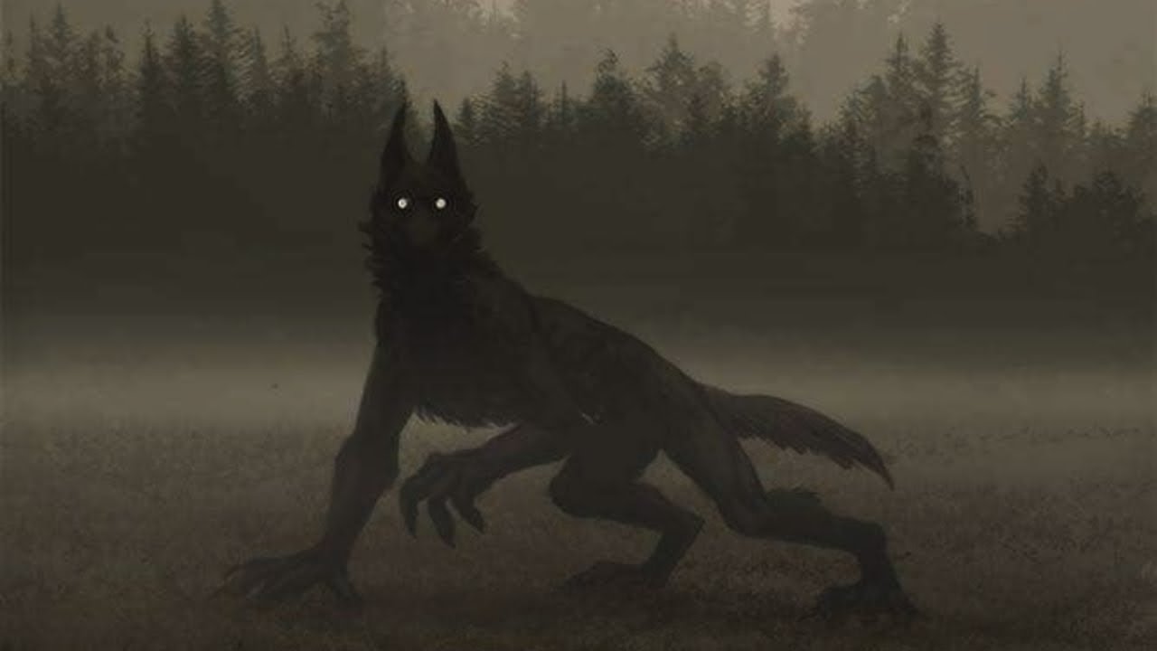 Creepypastas para tener de fondo mientras el nahual te explica porque no es furro