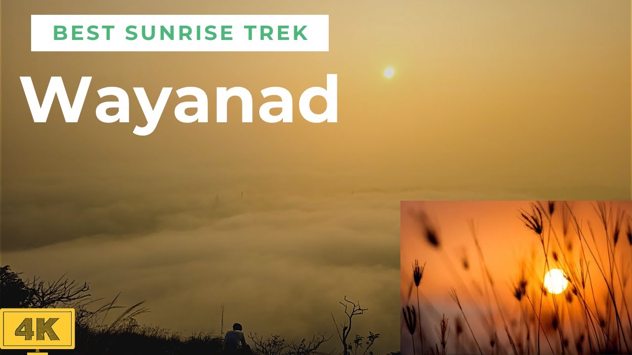Best sunrise trek in wayanad,cheengeri hills trekking in november#sunrisetrek #wayanad #ambalavayal