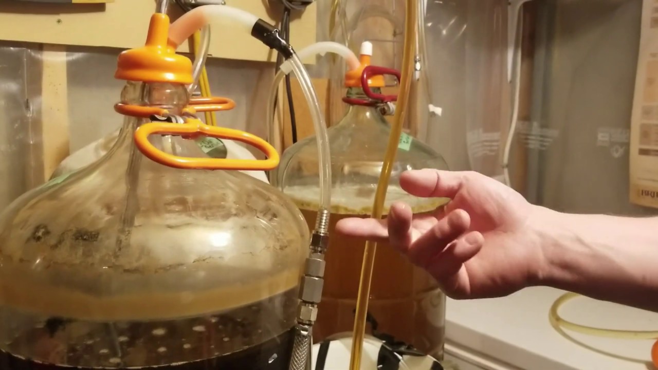 How to Pressure Rack Homebrewed Beer into a Keg