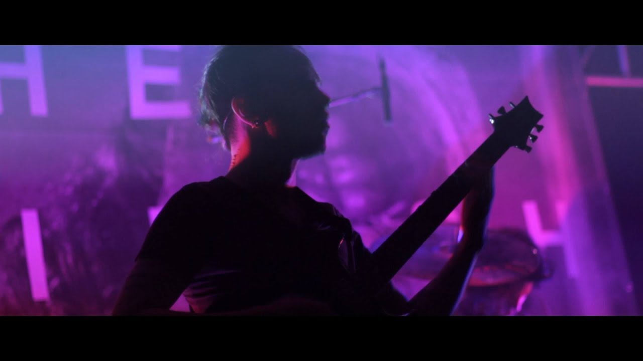 The Hirsch Effekt - Cotard (Live)