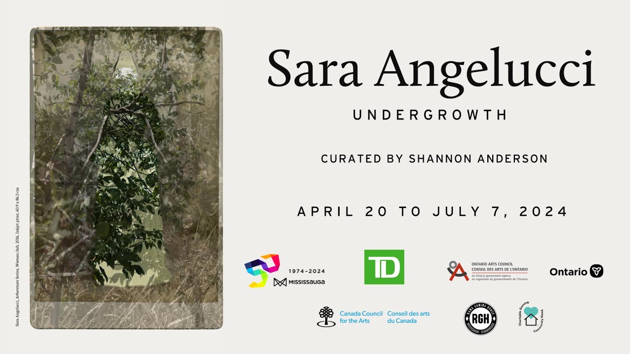 Sara Angelucci | Undergrowth