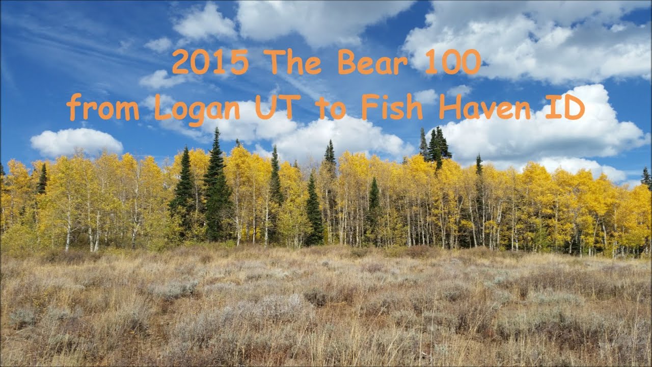 Bear 100 Mile Endurance Run