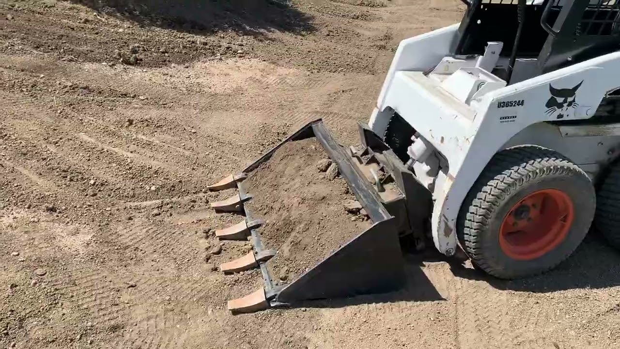 Shaping the new tree berms with the Bobcat 453￼