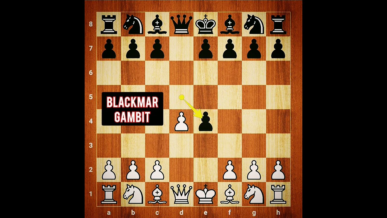 White player just trolls his opponent 🔥🔥