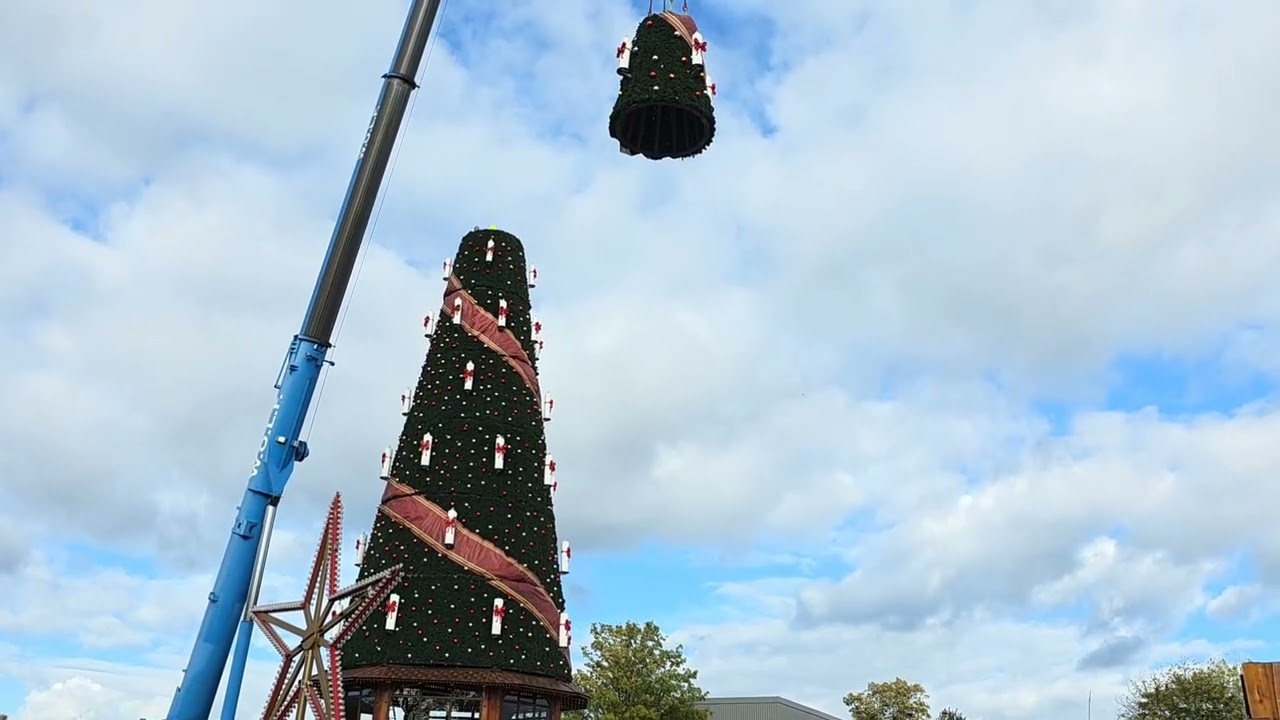 Cranger Weihnachtszauber 2025 - Aufbau Weihnachtsbaum
