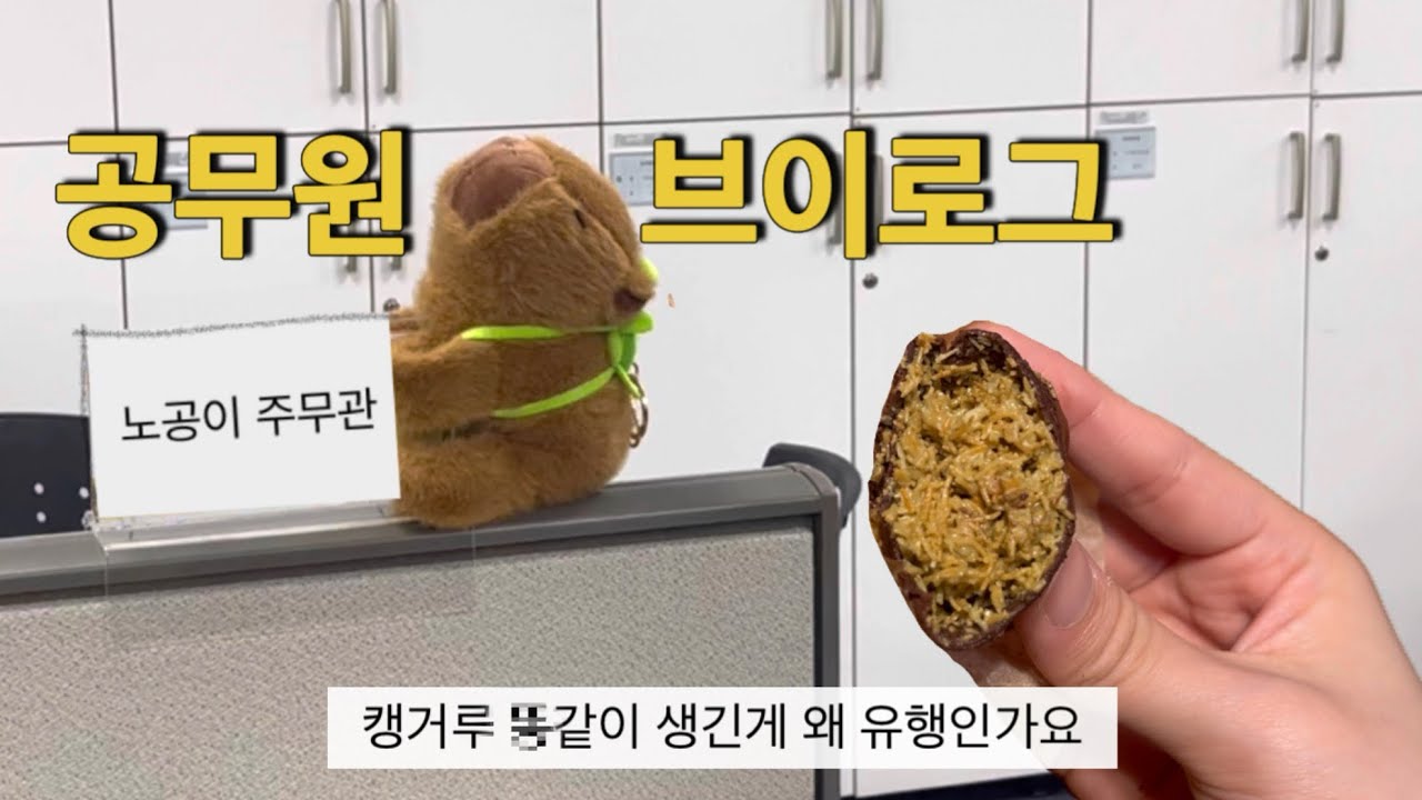 명절만 되면 나타나서 생존신고하는 직장인 브이로그