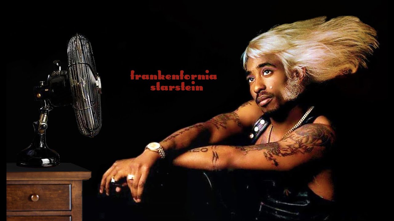 DJ Cummerbund - Frankenfornia Starstein