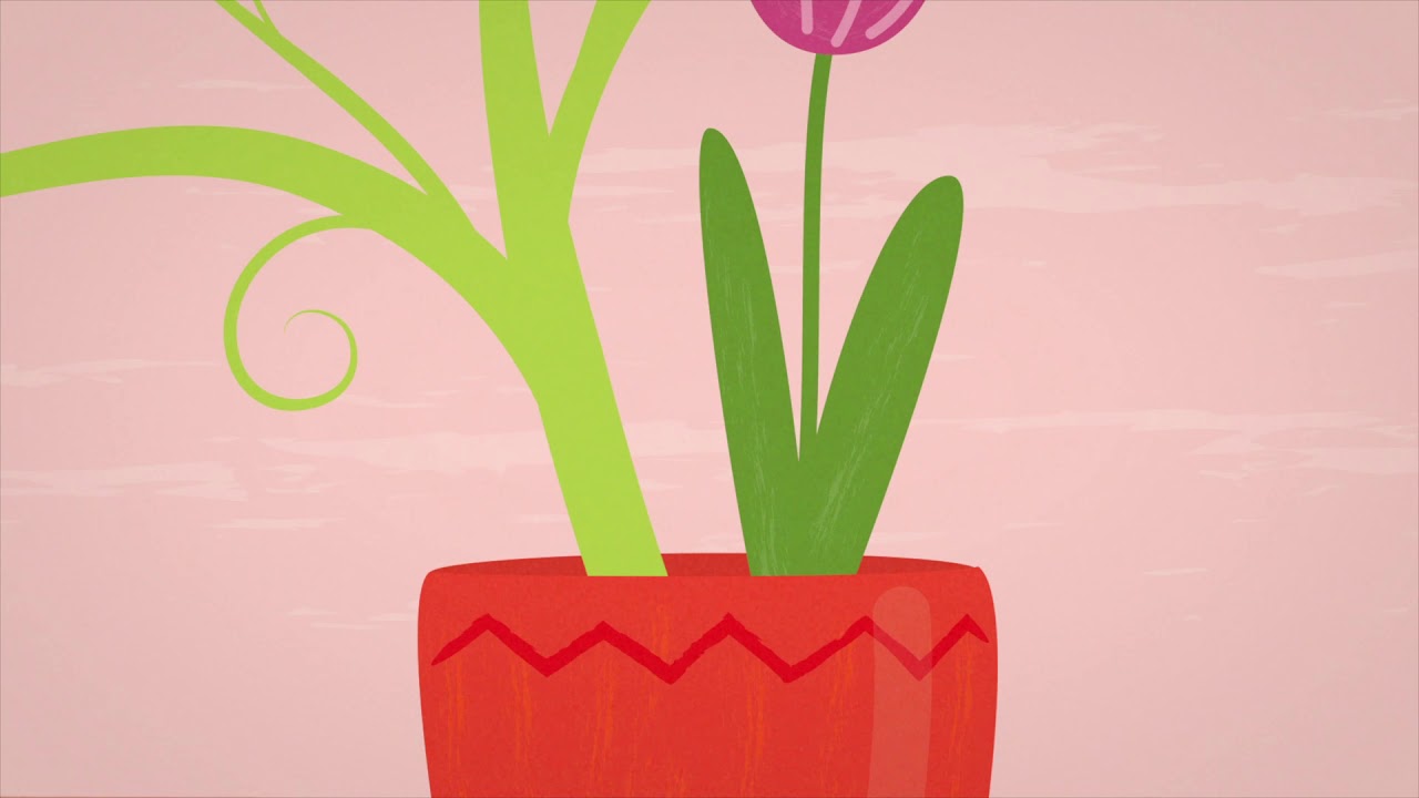 Animation réalisée par Nathalie Raminoson - Formation motion design Intuit Lab Pro