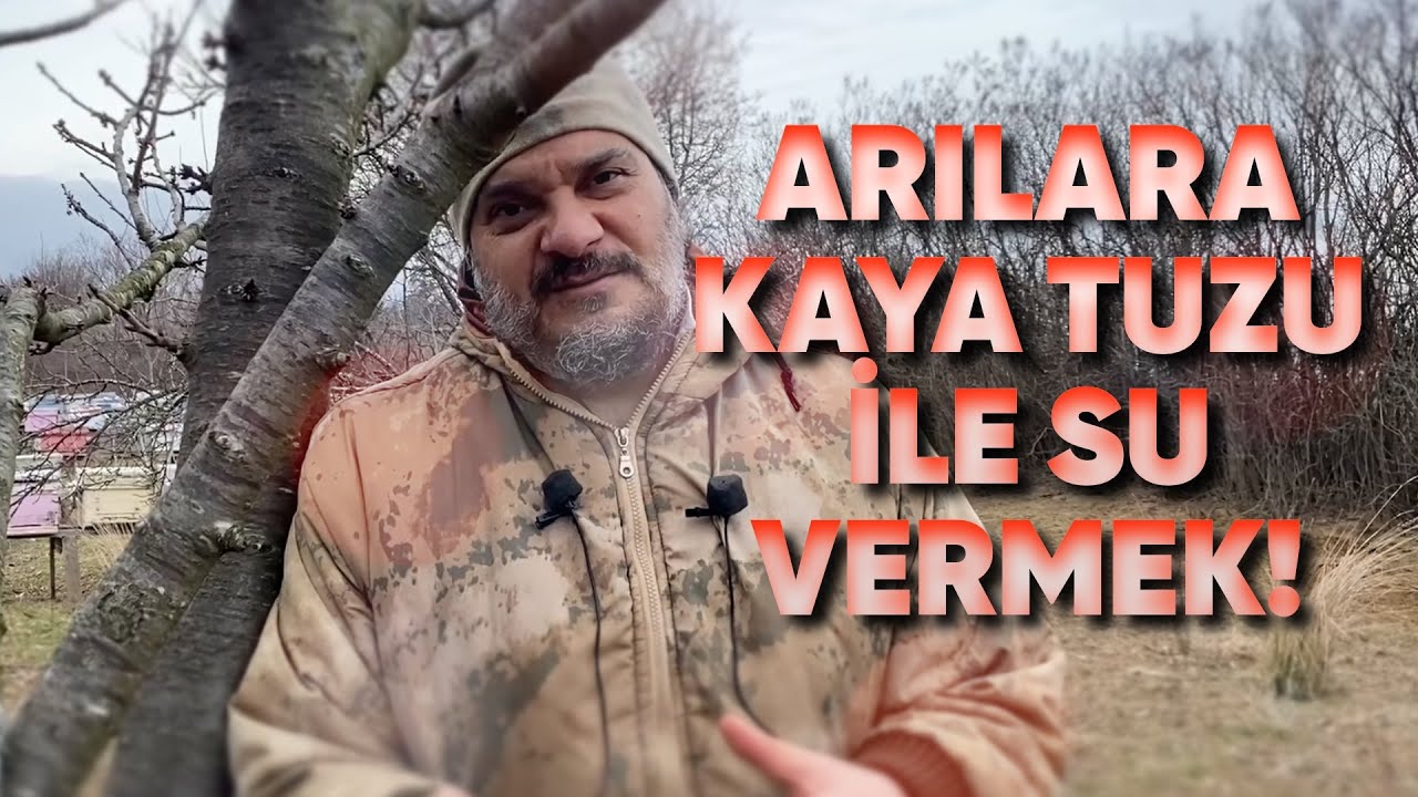 Arılara Kaya Tuzu ve Vitamin İle Su Vermek! Vitamin Vermek Ne Kadar Önemli?