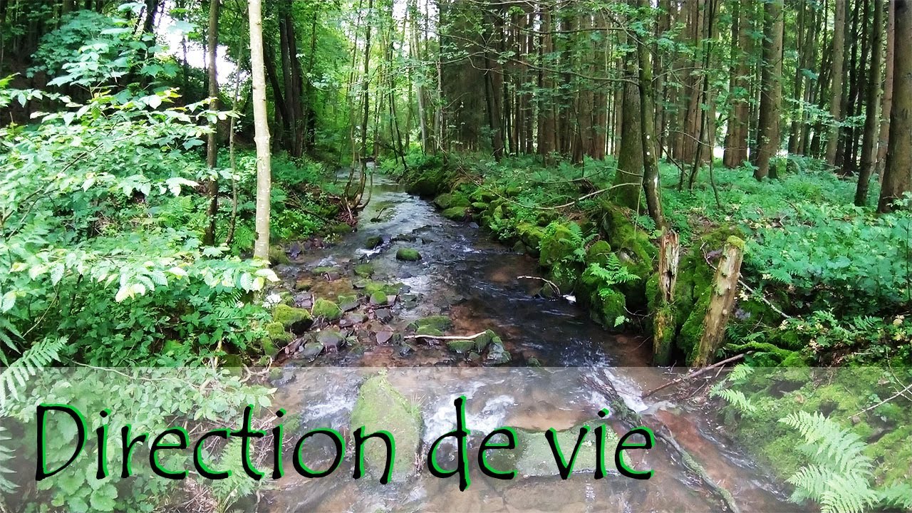 Musique Douce 432 Hz - Direction de Vie - Meditation & Relaxation - Study - Sleep